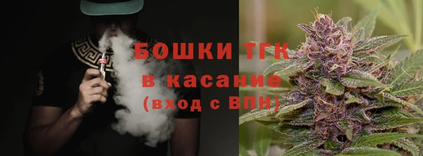 дмт Алексин