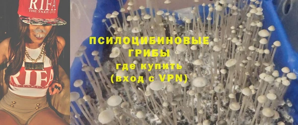 экстази Алексеевка