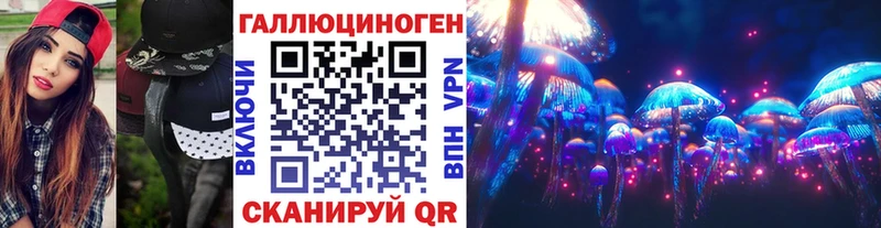 omg зеркало  Бирюсинск  Псилоцибиновые грибы Psilocybine cubensis 